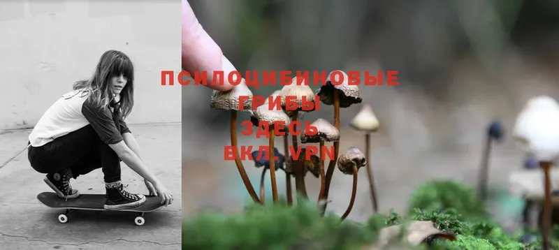 кракен ссылки  даркнет сайт  Железноводск  Псилоцибиновые грибы MAGIC MUSHROOMS 